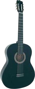 Akustisk gitarr C21