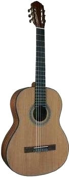 Akustisk gitarr HG 92