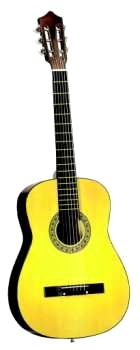 Akustisk gitarr MG-919