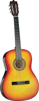 Skolgitarr C 10