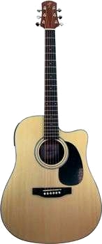 Tenayo Profi El-Akustik-Gitarr