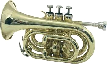 TP-300 ficktrumpet