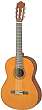 Akustisk gitarr Yamaha C40