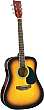 CW 190 halvakustisk gitarr