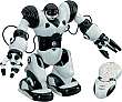 Robosapien
